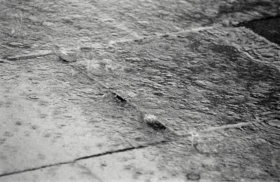 Saubere Bilder brauchen saubere Sensoren