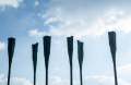Oars