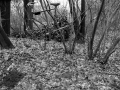 Factory Setting