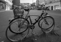 250614-Z9-Harburger-Impressionen-8975