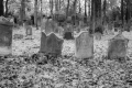 251116-Z9-Rundgang-6727