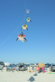 Flying High