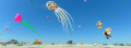 Flying High