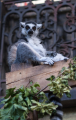 090525-D200-Hagenbeck-05569