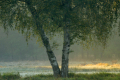 251003-Z9-Herbst-5290