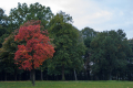 Autumn Approaches