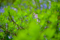 250504-Z9-Klein-Flottbek-7261