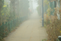 251220-Z9-Nebel-7525