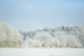 A Winter Full of Snow