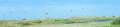 Flying High