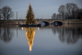Christmas Tree on the Alster