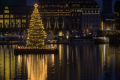 Christmas Tree on the Alster
