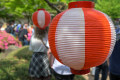 230521-Z9-Japan-Festival-9786