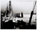 Ice Run in Hamburg Harbour
