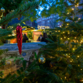 Christmas Decoration