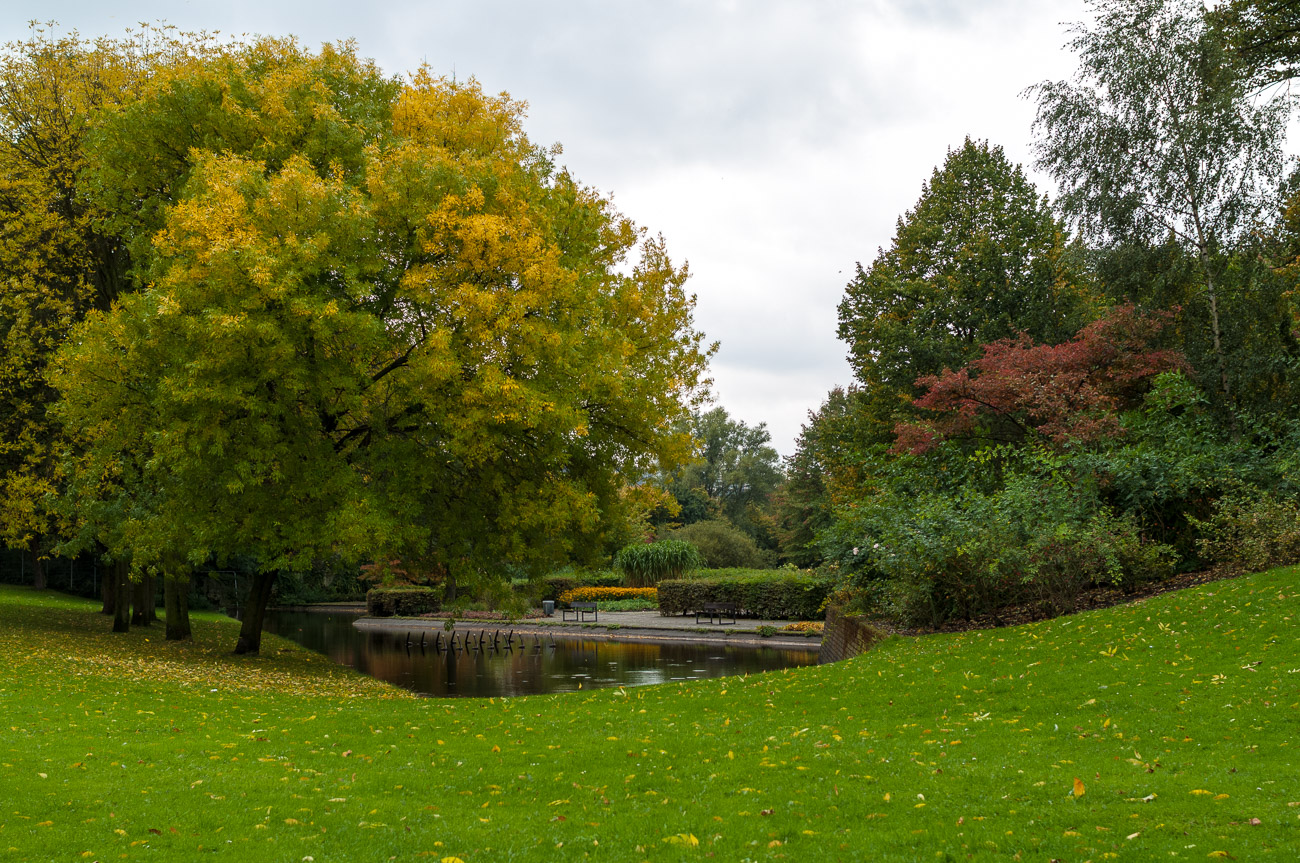 Autumn Colour