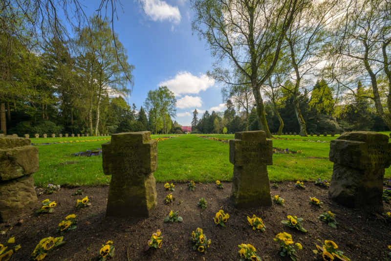250420-Z9-Kirschblute-6521-HDR