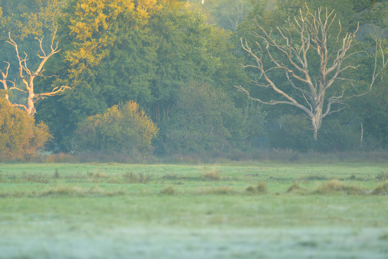 251003-Z9-Herbst-5251