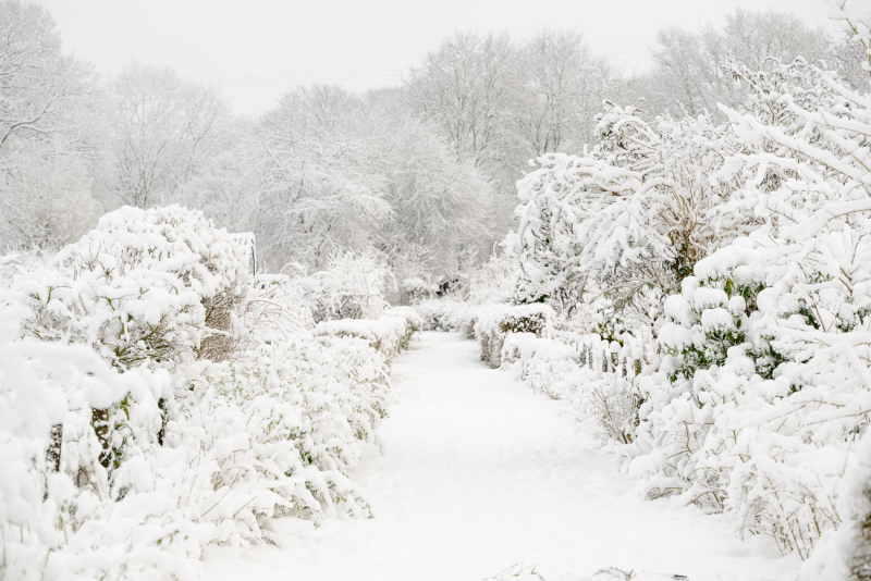 260103-Z9-Schnee-7835