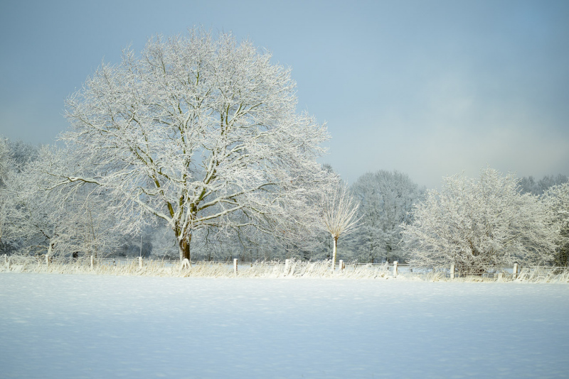 260103-Z9-Schnee-7880