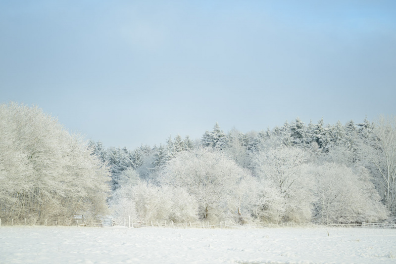 A Winter Full of Snow