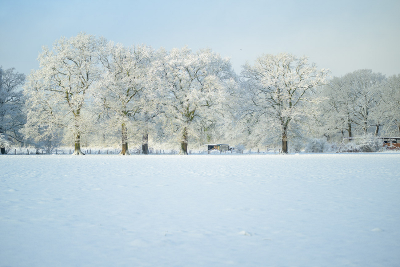 260103-Z9-Schnee-7911