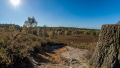 171015-D2X-Fischbeker-Heide-8387-Pano