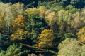 171015-D2X-Fischbeker-Heide-8402