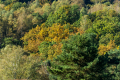 171015-D2X-Fischbeker-Heide-8404