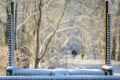 230311-Z9-Schnee-5867