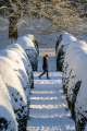 Wintry Splendour
