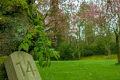 250417-Z9-Fruhling-6434