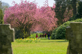 Spring in Hamburg
