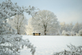 A Winter Full of Snow