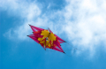 Flying High