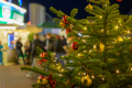 251115-Z9-Winter-Dom-6694