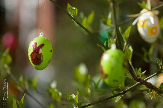 Grünes Osterei mit darauf gemaltem braunen Hasen hängt an einem Busch.